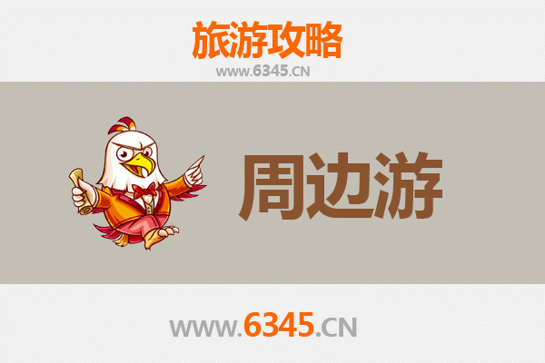 仙桃九合垸原种场周边游攻略：田园风光与生态体验之旅